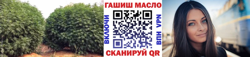 Купить закладки  Кодинск  ТГК концентрат 