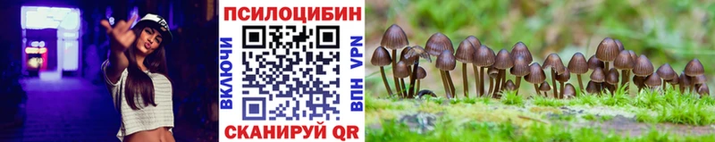 Псилоцибиновые грибы мицелий  Купить где  Кодинск 